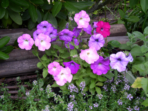 419067 (a): :1024x768